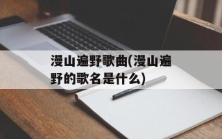 漫山遍野歌曲(漫山遍野的歌名是什么)