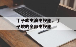 丁子峻主演电视剧，丁子峻的全部电视剧