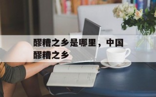 醪糟之乡是哪里，中国醪糟之乡