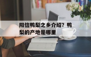阳信鸭梨之乡介绍？鸭梨的产地是哪里