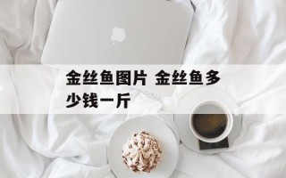 金丝鱼图片 金丝鱼多少钱一斤