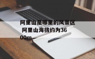 阿里山是哪里的风景区 阿里山海拔约为3600m
