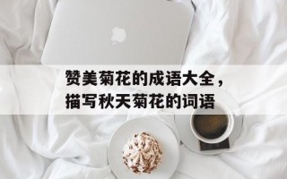 赞美菊花的成语大全，描写秋天菊花的词语