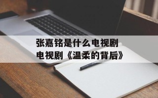 张嘉铭是什么电视剧 电视剧《温柔的背后》