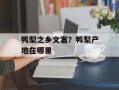 鸭梨之乡文案？鸭梨产地在哪里
