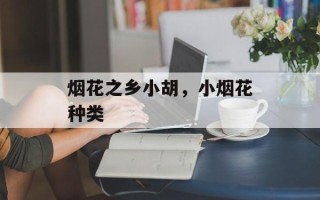 烟花之乡小胡，小烟花种类