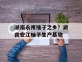 湖南永州柚子之乡？湖南安江柚子生产基地