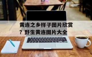 黄连之乡样子图片欣赏？野生黄连图片大全
