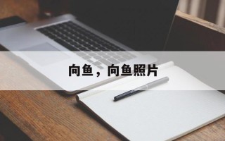 向鱼，向鱼照片
