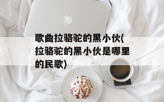 歌曲拉骆驼的黑小伙(拉骆驼的黑小伙是哪里的民歌)