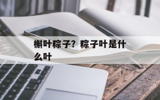 槲叶粽子？粽子叶是什么叶
