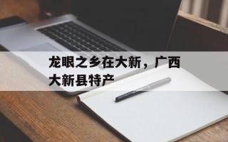 龙眼之乡在大新，广西大新县特产