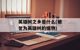 英雄树之乡是什么(被誉为英雄树的植物)