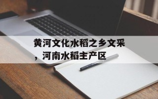 黄河文化水稻之乡文采，河南水稻主产区