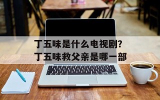 丁五味是什么电视剧？丁五味救父亲是哪一部