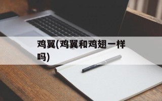 鸡翼(鸡翼和鸡翅一样吗)