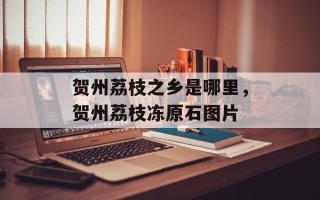 贺州荔枝之乡是哪里，贺州荔枝冻原石图片