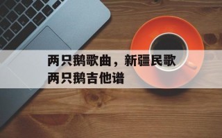 两只鹅歌曲，新疆民歌两只鹅吉他谱