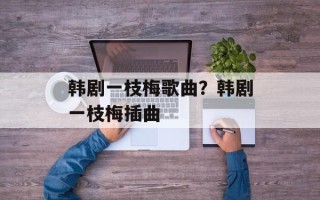 韩剧一枝梅歌曲？韩剧一枝梅插曲