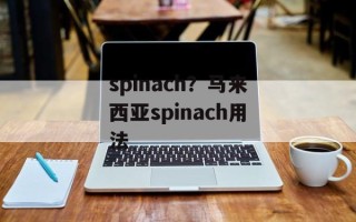 spinach？马来西亚spinach用法
