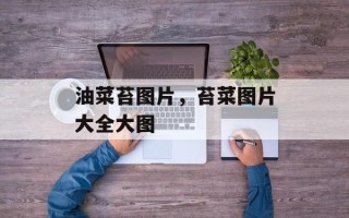 油菜苔图片，苔菜图片大全大图