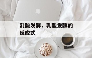 乳酸发酵，乳酸发酵的反应式