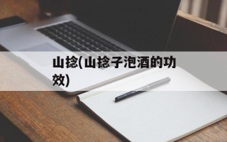 山捻(山捻子泡酒的功效)