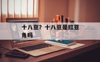 十八豆？十八豆是豇豆角吗