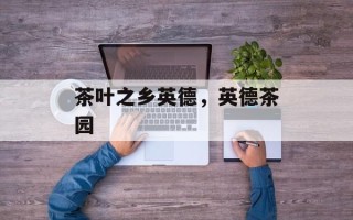 茶叶之乡英德，英德茶园