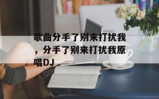 歌曲分手了别来打扰我，分手了别来打扰我原唱DJ