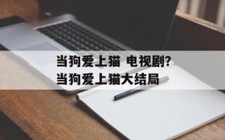 当狗爱上猫 电视剧？当狗爱上猫大结局