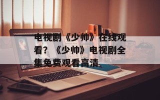 电视剧《少帅》在线观看？《少帅》电视剧全集免费观看高清