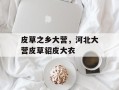 皮草之乡大营，河北大营皮草貂皮大衣