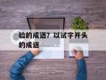 验的成语？以试字开头的成语