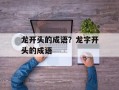 龙开头的成语？龙字开头的成语