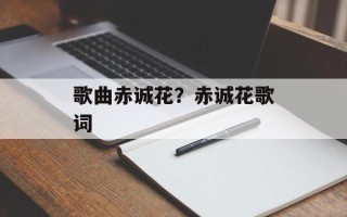 歌曲赤诚花？赤诚花歌词