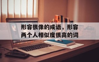 形容很像的成语，形容两个人相似度很高的词