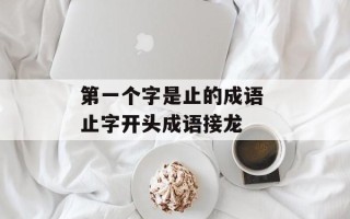 第一个字是止的成语 止字开头成语接龙