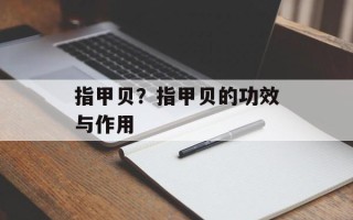 指甲贝？指甲贝的功效与作用