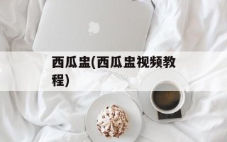 西瓜盅(西瓜盅视频教程)