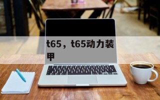 t65，t65动力装甲