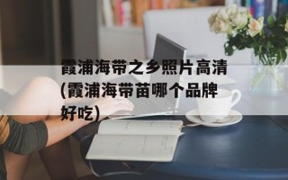 霞浦海带之乡照片高清(霞浦海带苗哪个品牌好吃)