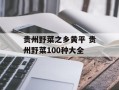 贵州野菜之乡黄平 贵州野菜100种大全
