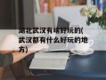 湖北武汉有啥好玩的(武汉都有什么好玩的地方)