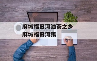 麻城福田河油茶之乡 麻城福田河镇