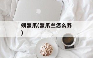 螃蟹爪(蟹爪兰怎么养)