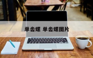 单齿螺 单齿螺图片