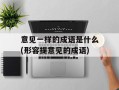 意见一样的成语是什么(形容提意见的成语)