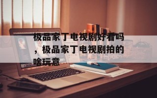 极品家丁电视剧好看吗，极品家丁电视剧拍的啥玩意