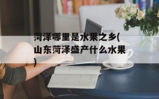 菏泽哪里是水果之乡(山东菏泽盛产什么水果)